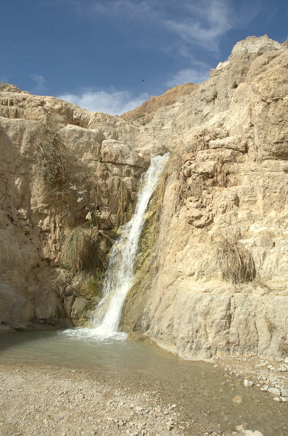 עין גדי — נווה מדבר עם מפלים ויעלים