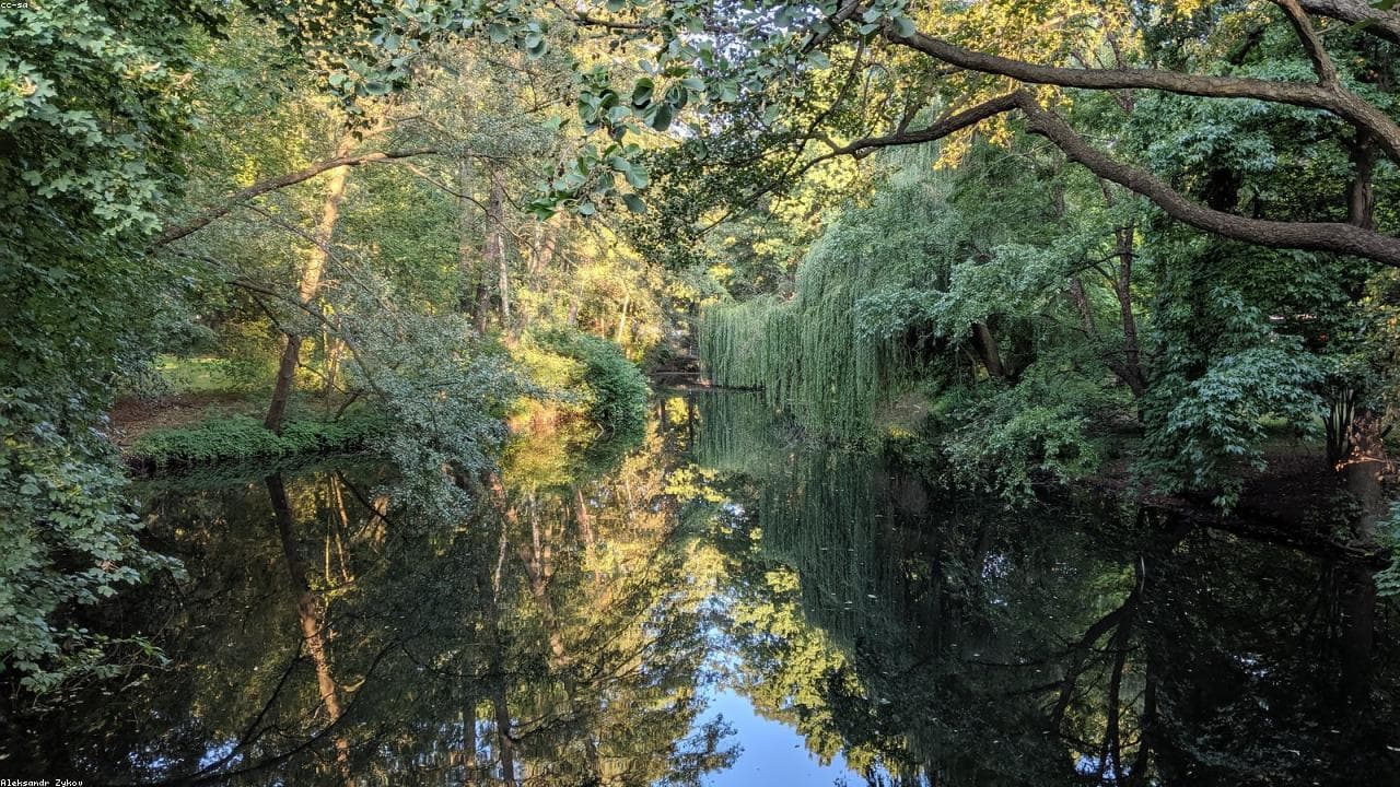 Tiergarten — פארק ירוק ומסלולי הליכה במרכז ברלין