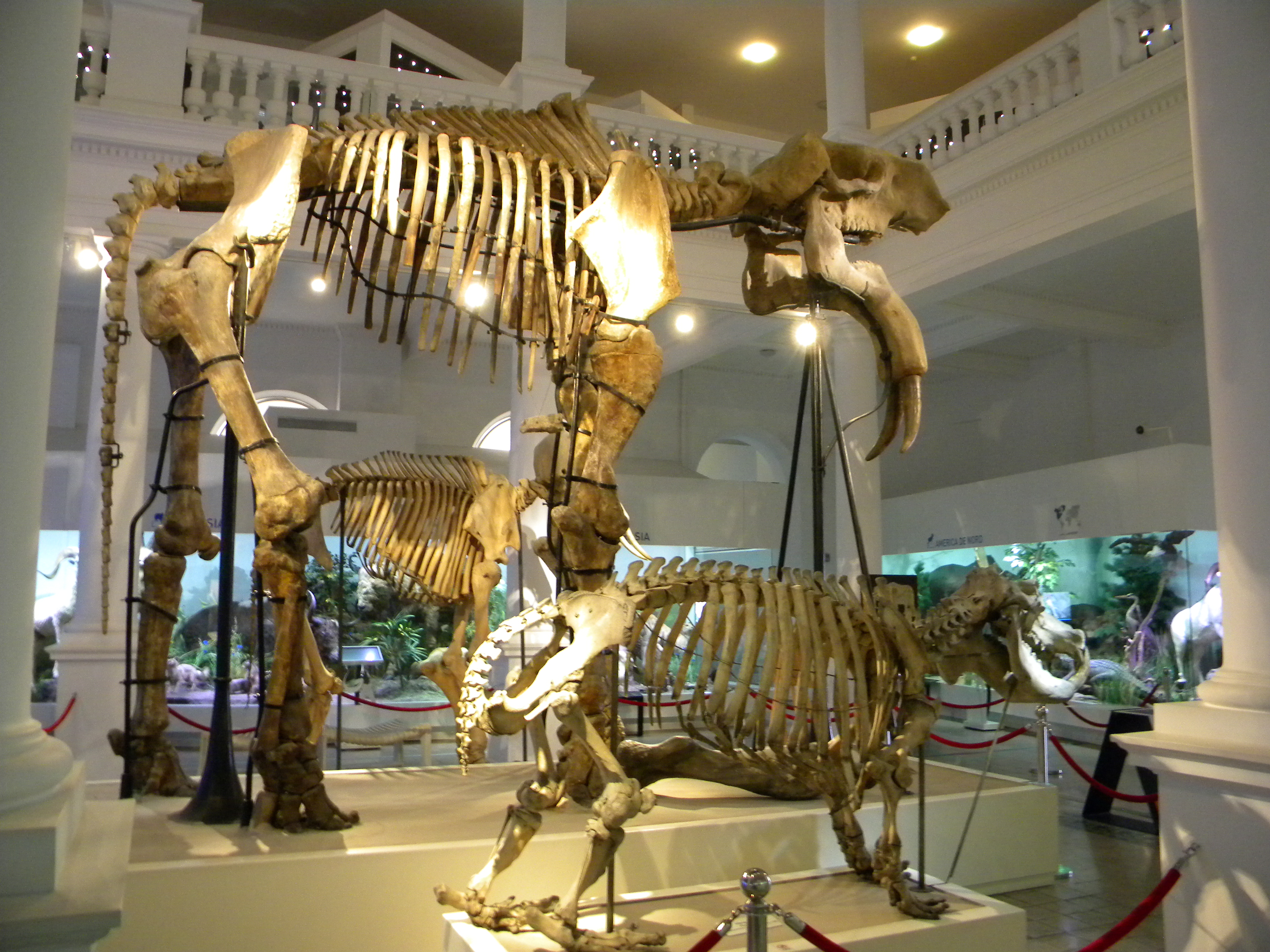 Grigore Antipa Museum