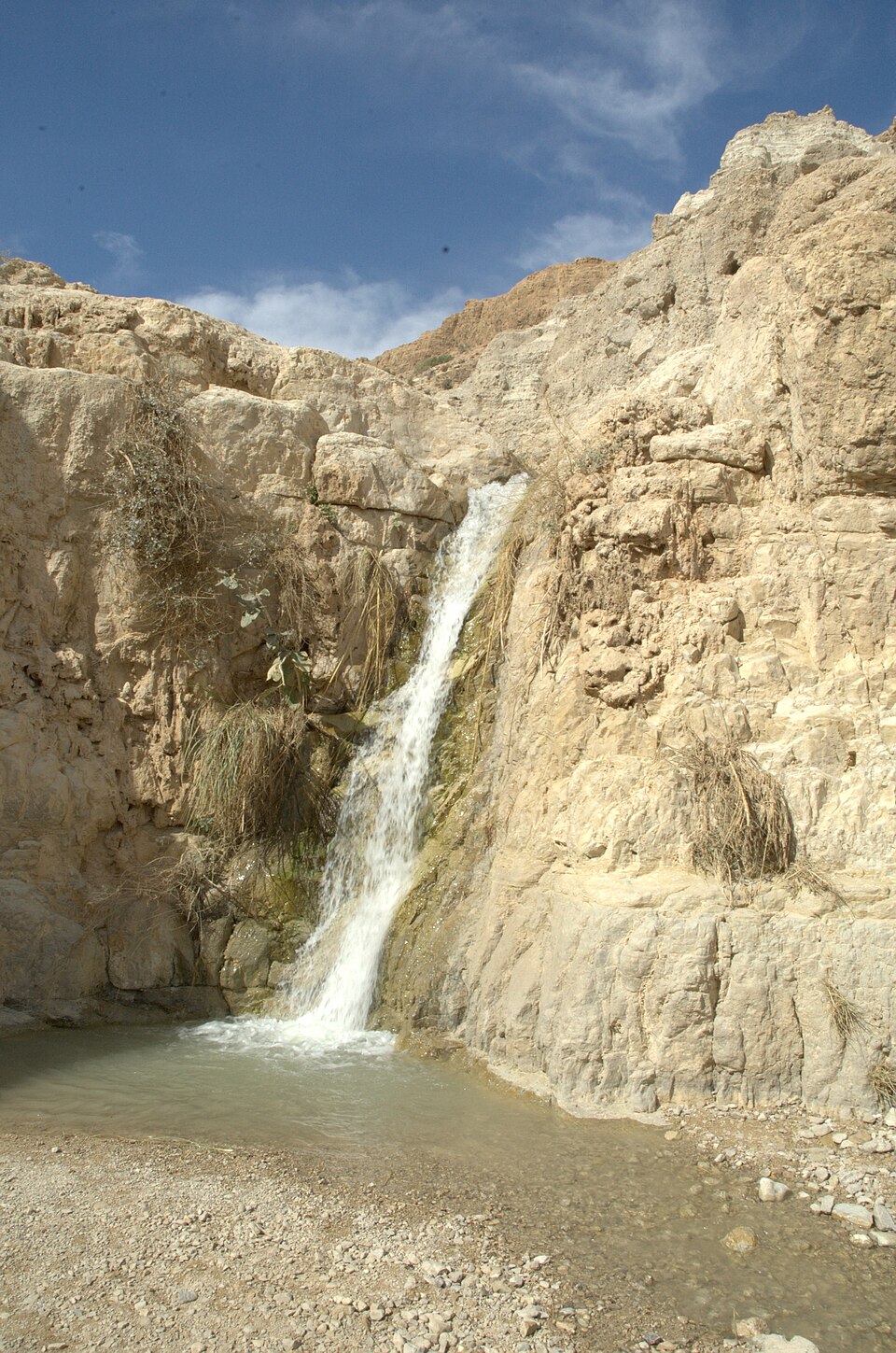 שמורת טבע עין גדי