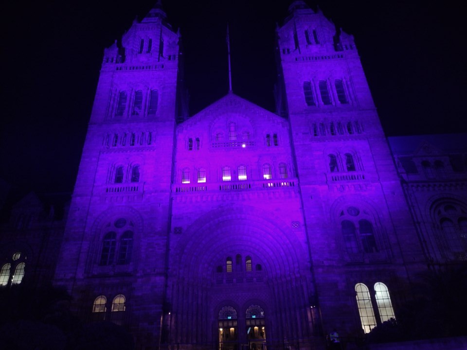Natural History Museum