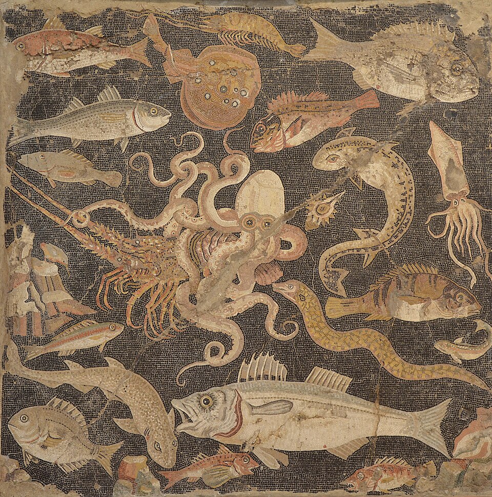 Naples National Museum